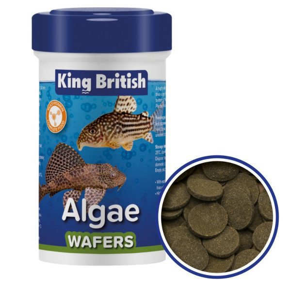 King British Algae Wafers (With IHB) - HugglePets