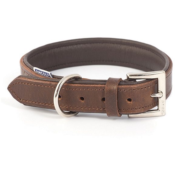 padded leather collar