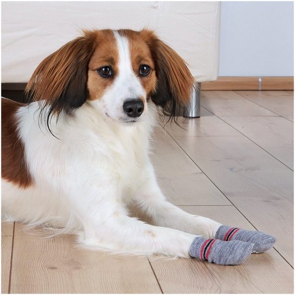 Trixie Protective Non-Slip Dog Socks - Paw Protection - HugglePets