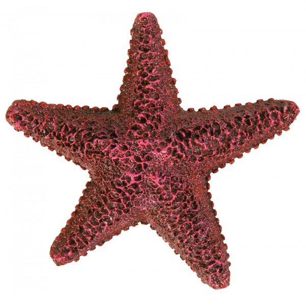 Trixie Assorted Starfish