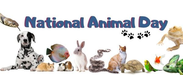 national animal day 2023 National animal rights day 2021