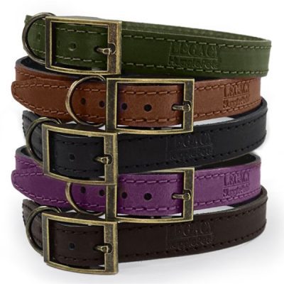 HugglePets Legacy Leather Dog Collar