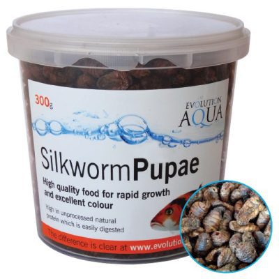 Evolution Aqua Pond Silkworm Pupae