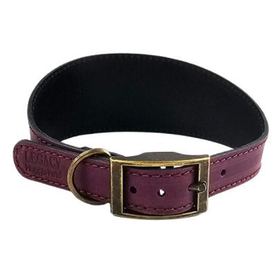 HugglePets Leather Hound Dog Collar