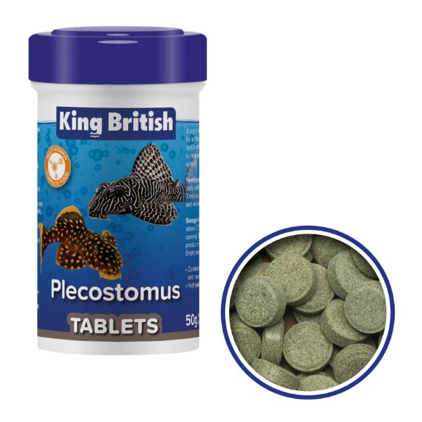 King British Plecostomus Tablets