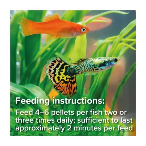 King British Tropical Mini Pellets.