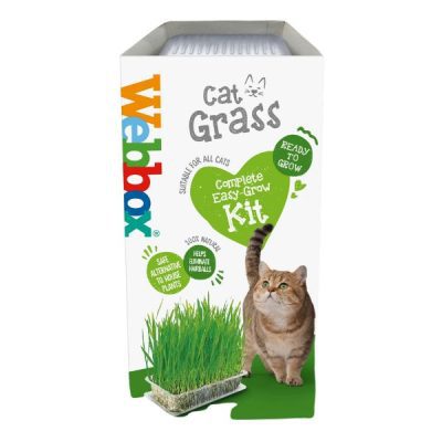 Webbox Cat Grass Kit 120g