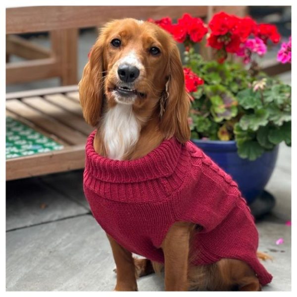 HugglePets Legacy Cable Knit Dog Jumper