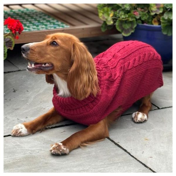 HugglePets Legacy Cable Knit Dog Jumper