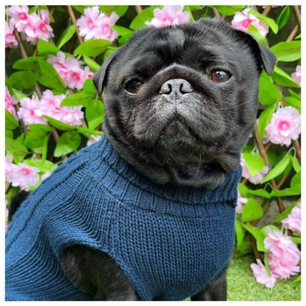 HugglePets Legacy Cable Knit Dog Jumper