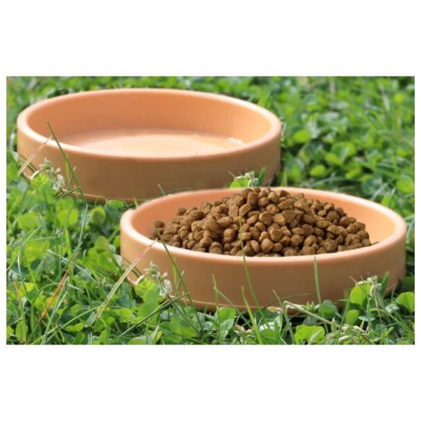 Spike’s Hedgehog Food or Water Bowl - HugglePets