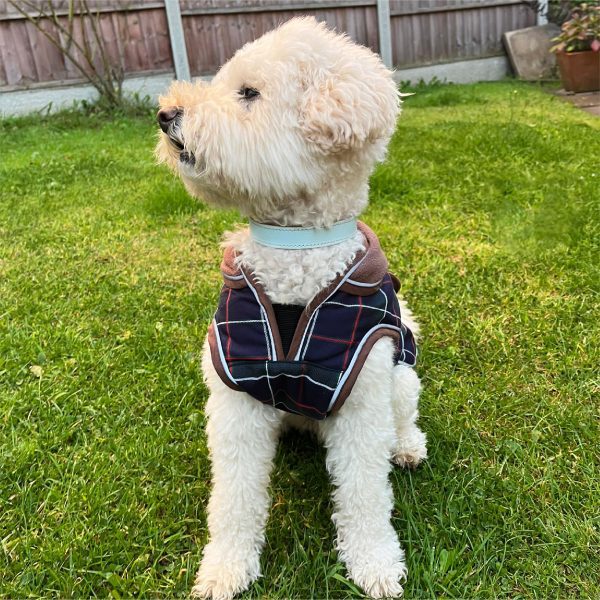 HugglePets Legacy Tartan Dog Coat - HugglePets