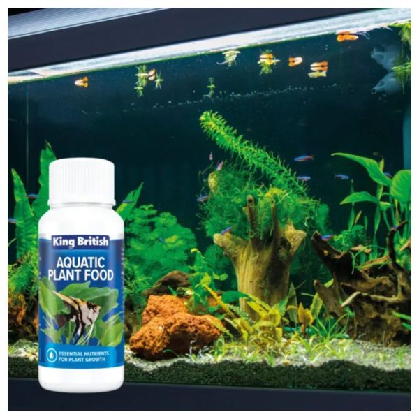 King British Aquatic Plant Food 100ml